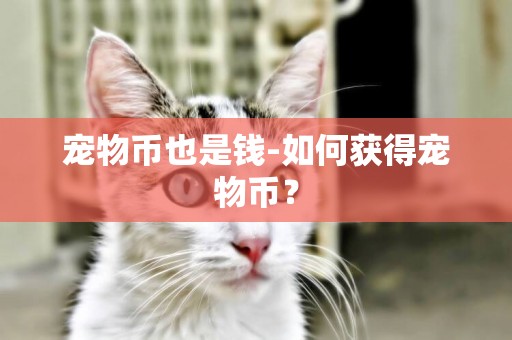 寵物幣也是錢-如何獲得寵物幣？