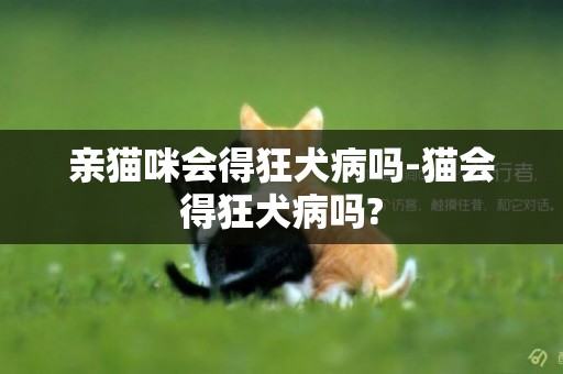 親貓咪會得狂犬病嗎-貓會得狂犬病嗎?