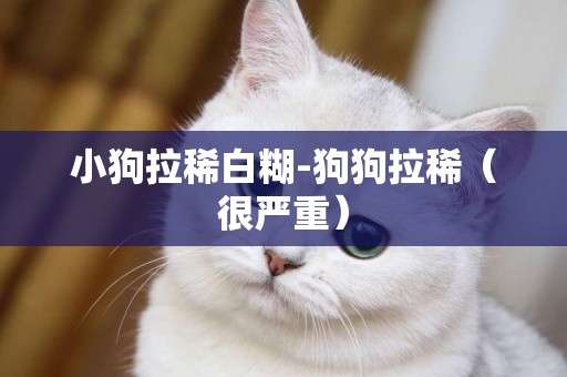 小狗拉稀白糊-狗狗拉稀（很嚴重）
