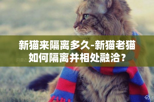 新貓來隔離多久-新貓老貓如何隔離并相處融洽？