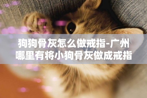 狗狗骨灰怎么做戒指-廣州哪里有將小狗骨灰做成戒指