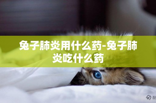 兔子肺炎用什么藥-兔子肺炎吃什么藥
