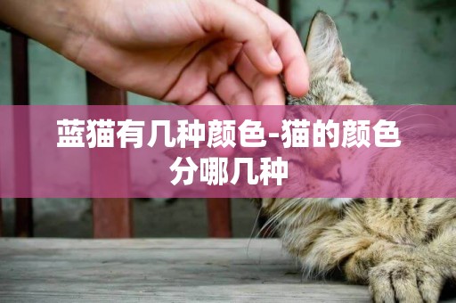 藍貓有幾種顏色-貓的顏色分哪幾種