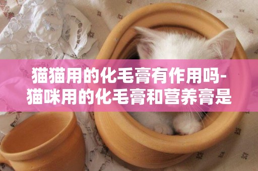 貓貓用的化毛膏有作用嗎-貓咪用的化毛膏和營養膏是一樣的嗎