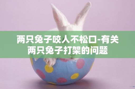 兩只兔子咬人不松口-有關兩只兔子打架的問題