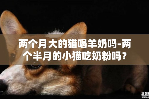 兩個月大的貓喝羊奶嗎-兩個半月的小貓吃奶粉嗎？