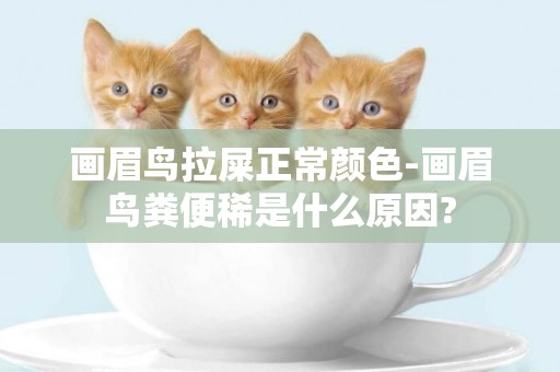 畫眉鳥拉屎正常顏色-畫眉鳥糞便稀是什么原因?
