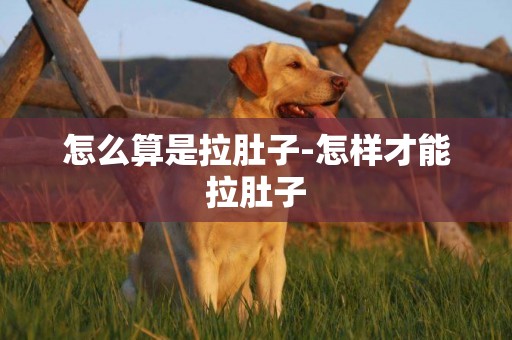 怎么算是拉肚子-怎樣才能拉肚子