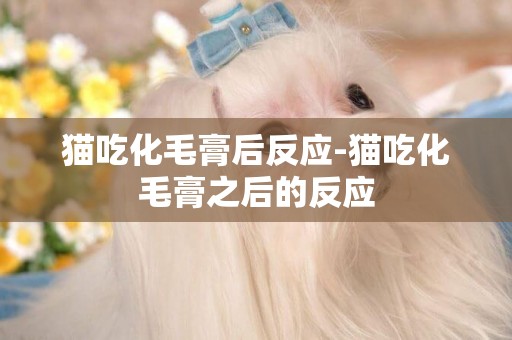 貓吃化毛膏后反應-貓吃化毛膏之后的反應