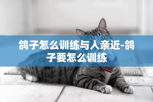 鴿子怎么訓練與人親近-鴿子要怎么訓練