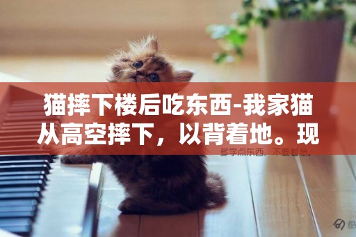 貓摔下樓后吃東西-我家貓從高空摔下，以背著地。現在，2天未吃東西，該怎么處理？