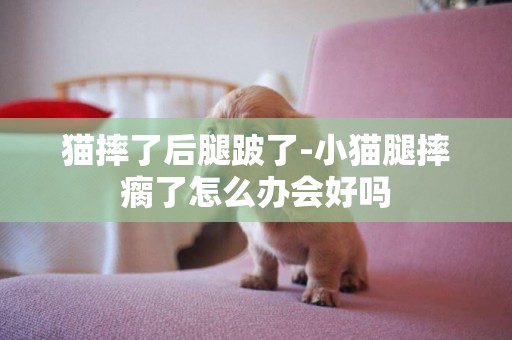 貓摔了后腿跛了-小貓腿摔瘸了怎么辦會好嗎