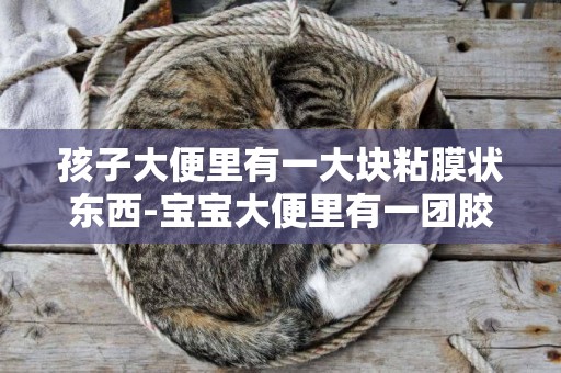 孩子大便里有一大塊粘膜狀東西-寶寶大便里有一團膠狀物怎么回事
