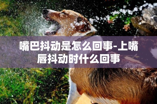 嘴巴抖動是怎么回事-上嘴唇抖動時什么回事