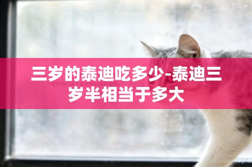 三歲的泰迪吃多少-泰迪三歲半相當于多大