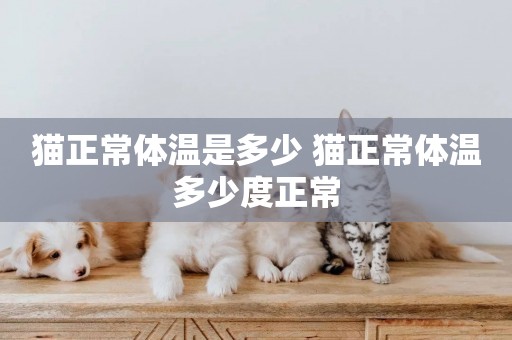 貓正常體溫是多少 貓正常體溫多少度正常