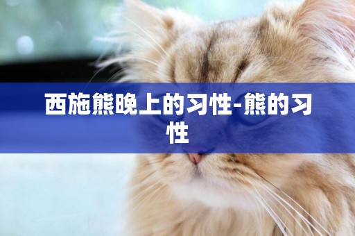 西施熊晚上的習性-熊的習性