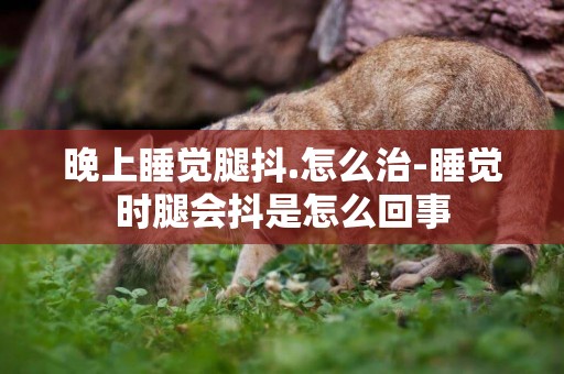 晚上睡覺腿抖.怎么治-睡覺時腿會抖是怎么回事