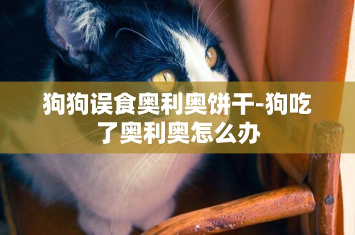 狗狗誤食奧利奧餅干-狗吃了奧利奧怎么辦