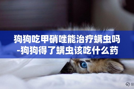 狗狗吃甲硝唑能治療螨蟲嗎-狗狗得了螨蟲該吃什么藥？