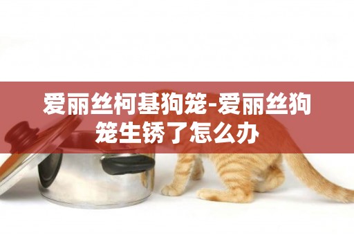 愛麗絲柯基狗籠-愛麗絲狗籠生銹了怎么辦