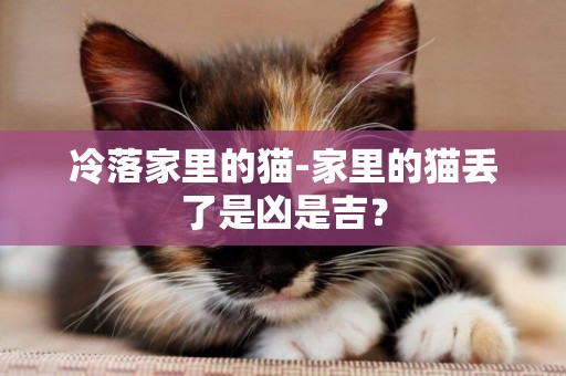 冷落家里的貓-家里的貓丟了是兇是吉？