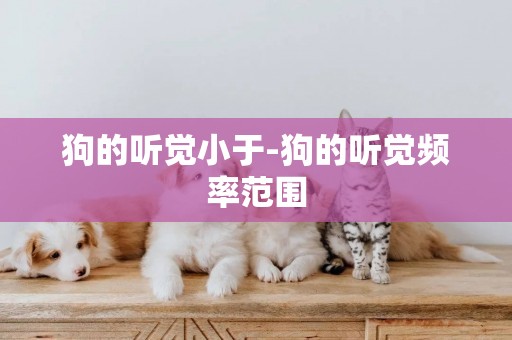 狗的聽覺小于-狗的聽覺頻率范圍