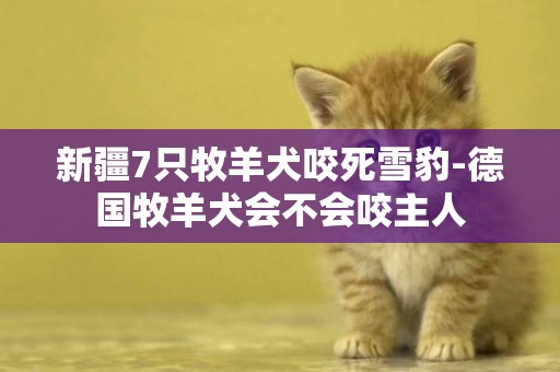 新疆7只牧羊犬咬死雪豹-德國牧羊犬會不會咬主人