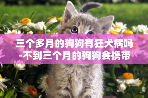 三個多月的狗狗有狂犬病嗎-不到三個月的狗狗會攜帶狂犬病毒嗎