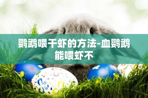鸚鵡喂干蝦的方法-血鸚鵡能喂蝦不