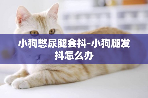 小狗憋尿腿會抖-小狗腿發抖怎么辦