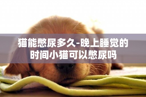貓能憋尿多久-晚上睡覺的時間小貓可以憋尿嗎