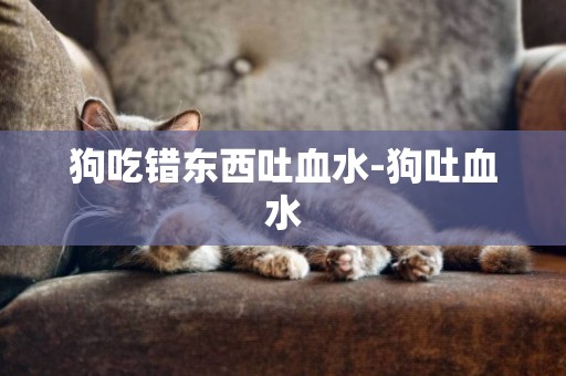 狗吃錯東西吐血水-狗吐血水