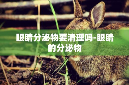 眼睛分泌物要清理嗎-眼睛的分泌物