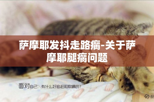 薩摩耶發抖走路瘸-關于薩摩耶腿瘸問題
