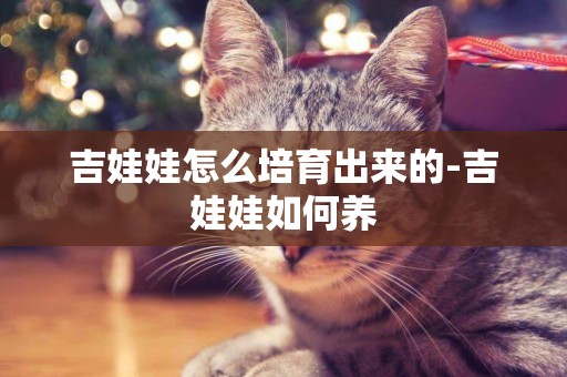 吉娃娃怎么培育出來的-吉娃娃如何養