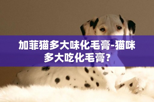 加菲貓多大味化毛膏-貓咪多大吃化毛膏？
