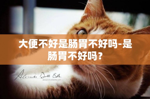 大便不好是腸胃不好嗎-是腸胃不好嗎？