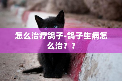 怎么治療鴿子-鴿子生病怎么治？？