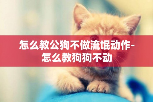 怎么教公狗不做流氓動作-怎么教狗狗不動