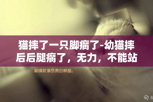 貓摔了一只腳瘸了-幼貓摔后后腿瘸了，無力，不能站立。