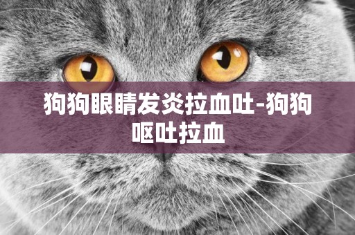 狗狗眼睛發炎拉血吐-狗狗嘔吐拉血