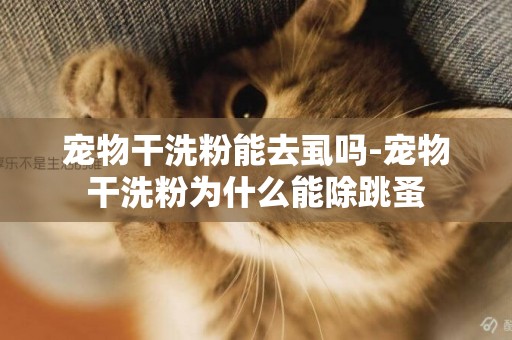 寵物干洗粉能去虱嗎-寵物干洗粉為什么能除跳蚤