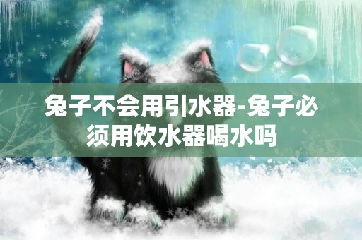 兔子不會用引水器-兔子必須用飲水器喝水嗎