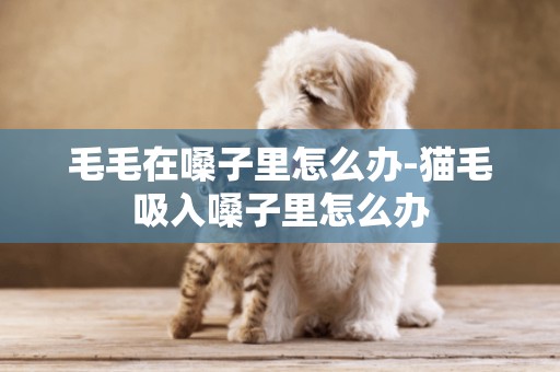 毛毛在嗓子里怎么辦-貓毛吸入嗓子里怎么辦