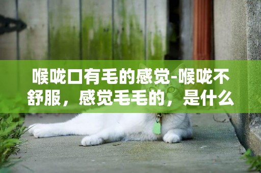 喉嚨口有毛的感覺-喉嚨不舒服，感覺毛毛的，是什么情況啊