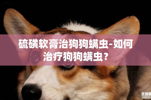 硫磺軟膏治狗狗螨蟲-如何治療狗狗螨蟲？