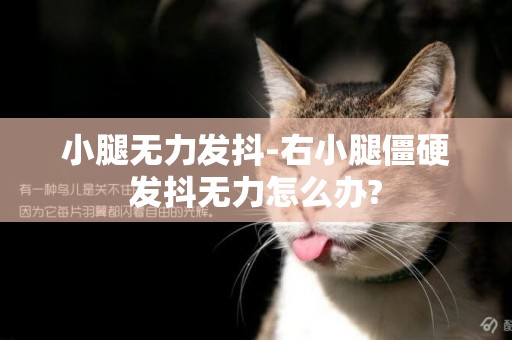 小腿無力發抖-右小腿僵硬發抖無力怎么辦?
