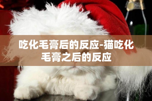 吃化毛膏后的反應-貓吃化毛膏之后的反應