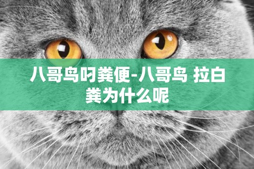 八哥鳥叼糞便-八哥鳥 拉白糞為什么呢